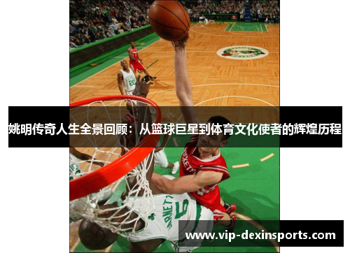 姚明传奇人生全景回顾：从篮球巨星到体育文化使者的辉煌历程